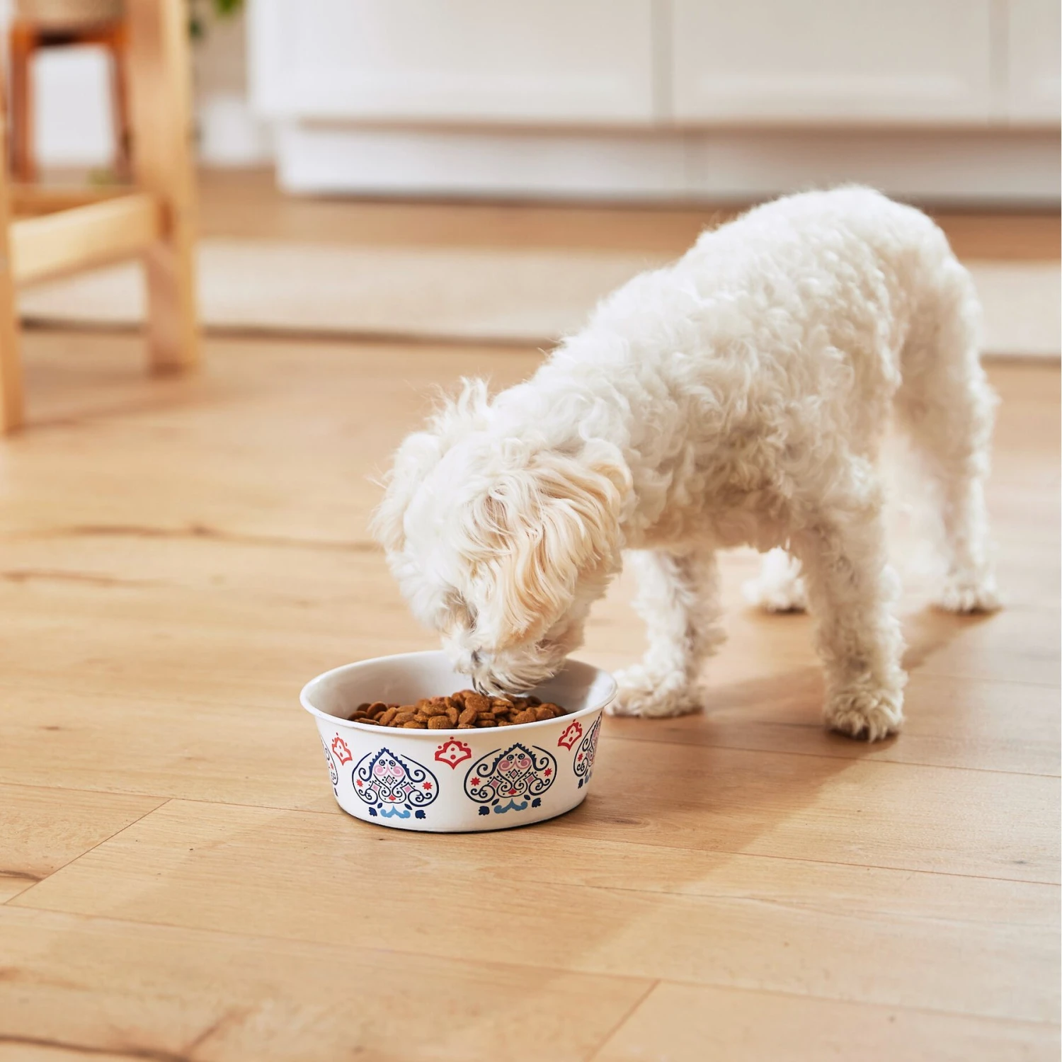 Frisco Bohemian Non-Skid Stainless Steel Dog & Cat Bowl 11 Frisco Bohemian Non-Skid Stainless Steel Dog & Cat Bowl - Image 9