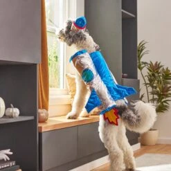 Frisco Rocket Ship Dog & Cat Costume 17 Frisco Rocket Ship Dog & Cat Costume -Chewy 260904 PT8. AC SS1800 V1624400386