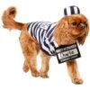 Frisco Prisoner Dog & Cat Costume 2 Frisco Prisoner Dog & Cat Costume -Chewy 260933 MAIN. AC SS1800 V1624400089