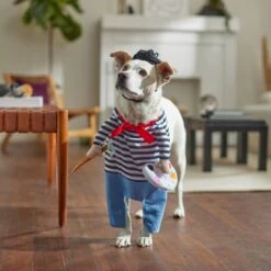 Frisco Front Walking French Artist Dog & Cat Costume 17 Frisco Front Walking French Artist Dog & Cat Costume -Chewy 260956 PT8. AC SS1800 V1689623916