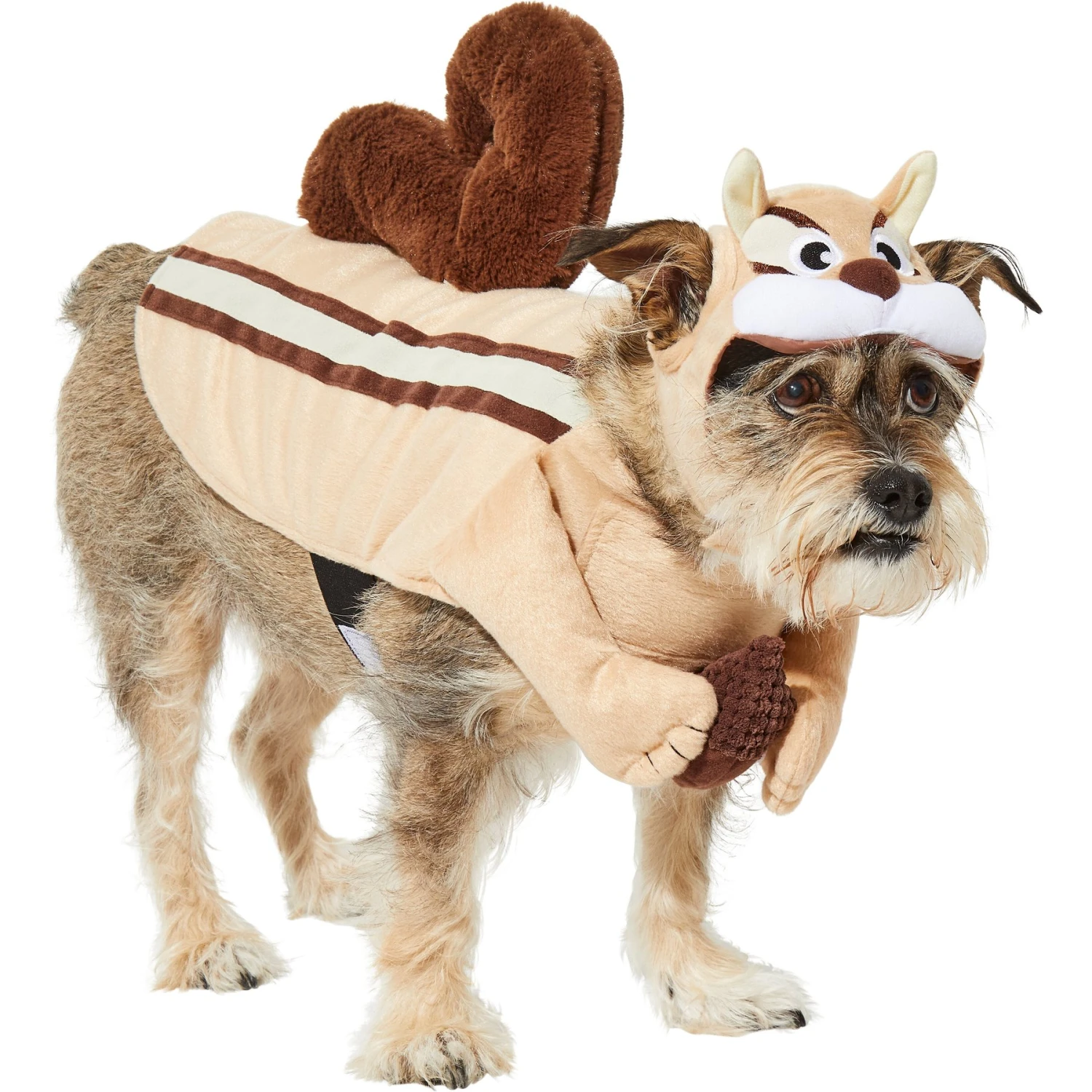 Frisco Chipmunk Dog & Cat Costume 3 Frisco Chipmunk Dog & Cat Costume