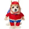 Frisco Front Walking Superhero Dog & Cat Costume 2 Frisco Front Walking Superhero Dog & Cat Costume -Chewy 261083 MAIN. AC SS1800 V1624398205