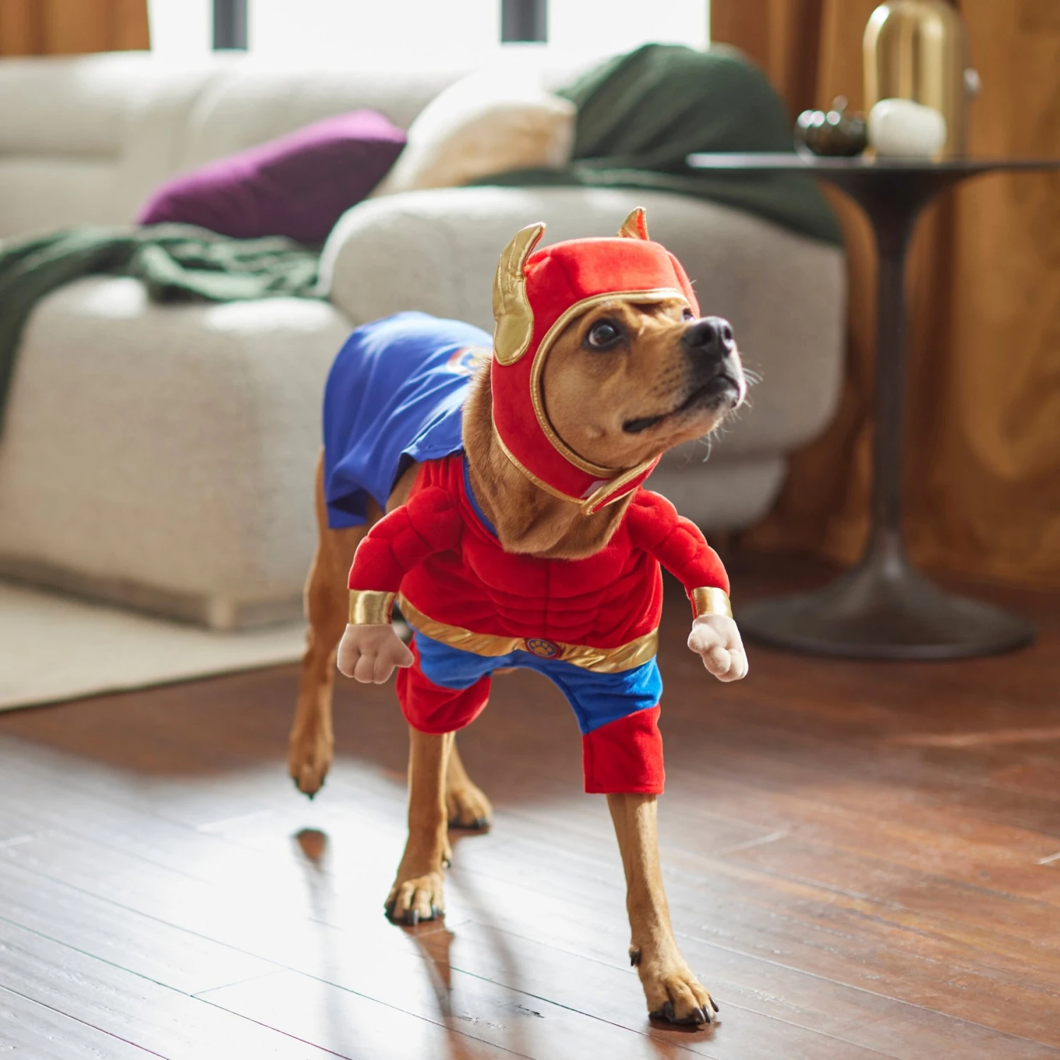 Frisco Front Walking Superhero Dog & Cat Costume 10 Frisco Front Walking Superhero Dog & Cat Costume - Image 8