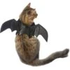 Frisco Bat Wings Dog & Cat Costume 1 Frisco Bat Wings Dog & Cat Costume -Chewy 261113 MAIN. AC SS1800 V1625076458