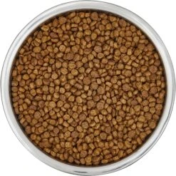 Frisco Insulated Non-Skid Flair Stainless Steel Dog & Cat Bowl 15 Frisco Insulated Non-Skid Flair Stainless Steel Dog & Cat Bowl -Chewy 261753 PT4. AC SS1800 V1623937583