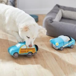 Frisco Road Trip Cruisers Plush Squeaky Dog Toy, 2 Count 7 Frisco Road Trip Cruisers Plush Squeaky Dog Toy, 2 Count -Chewy 261982 PT3. AC SS1800 V1618598560