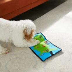 Frisco Road Trip Foldable Map Flat Plush Squeaky Dog Toy -Chewy 261998 PT4. AC SS1800 V1619791937