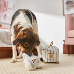 Frisco Magic Owl & Cage 2-in-1 Plush Squeaky Dog Toy 9 Frisco Magic Owl & Cage 2-in-1 Plush Squeaky Dog Toy -Chewy 265592 PT3. AC SS1800 V1620938916