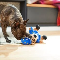 Frisco Magic Wizard Bear Plush Squeaky Dog Toy -Chewy 265604 PT3. AC SS1800 V1623352109