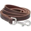 Frisco Top Grain Leather Leash -Chewy 266521 MAIN. AC SS1800 V1618855319