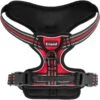 Frisco Padded Reflective Harness