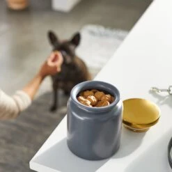 Frisco Modern Gold Rim Ceramic Treat Jar -Chewy 270190 PT2. AC SS1800 V1620762371