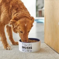 Frisco Food & Paw Non-skid Ceramic Dog Bowl 10 Frisco Food & Paw Non-skid Ceramic Dog Bowl -Chewy 270195 PT2. AC SS1800 V1620762027