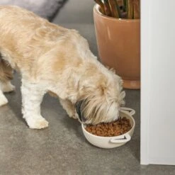 Frisco Dog Face Non-skid Ceramic Cat & Dog Bowl 10 Frisco Dog Face Non-skid Ceramic Cat & Dog Bowl -Chewy 270226 PT2. AC SS1800 V1620762156