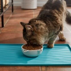 Frisco Cat Face Non-skid Ceramic Cat Bowl, White 9 Frisco Cat Face Non-skid Ceramic Cat Bowl, White -Chewy 270229 PT3. AC SS1800 V1620762318