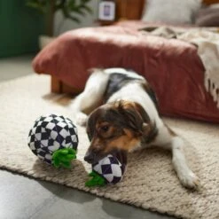 Frisco Halloween Fancy Pumpkin 2-in-1 Plush Squeaky Dog Toy -Chewy 270359 PT3. AC SS1800 V1624817665