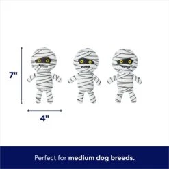 Frisco Halloween Mummy & Coffin Hide & Seek Puzzle Plush Squeaky Dog Toy -Chewy 270365 PT2. AC SS1800 V1689872932