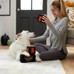 Frisco Halloween 30 Days Of Halloween Countdown Blocks Plush Squeaky Dog Toy 9 Frisco Halloween 30 Days Of Halloween Countdown Blocks Plush Squeaky Dog Toy -Chewy 270494 PT3. AC SS1800 V1624817483