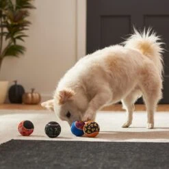 Frisco Halloween Glow In The Dark Fetch Squeaky Tennis Ball Dog Toy -Chewy 270525 PT3. AC SS1800 V1624824980