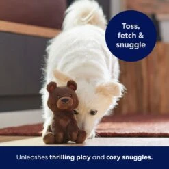 Frisco Camping Bear Plush Squeaky Dog Toy 12 Frisco Camping Bear Plush Squeaky Dog Toy -Chewy 270999 PT5. AC SS1800 V1691785245