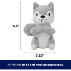 Frisco Camping Squirrel Plush Squeaky Dog Toy 9 Frisco Camping Squirrel Plush Squeaky Dog Toy -Chewy 271001 PT1. AC SS1800 V1686579631