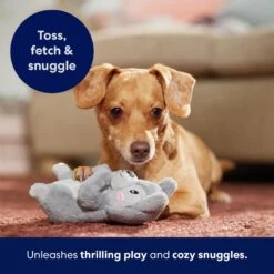 Frisco Camping Squirrel Plush Squeaky Dog Toy 12 Frisco Camping Squirrel Plush Squeaky Dog Toy -Chewy 271001 PT5. AC SS1800 V1691785245