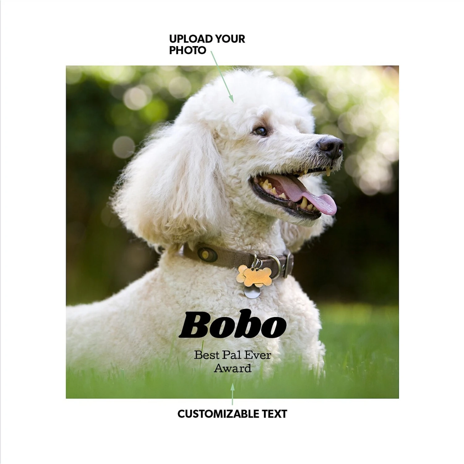 Frisco Personalized Basic Ceramic Photo Tile With Stand 4 Frisco Personalized Basic Ceramic Photo Tile With Stand - Image 2