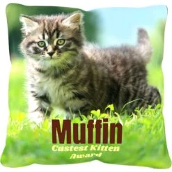 Frisco Personalized Basic Throw Pillow, 16" X 16" 7 Frisco Personalized Basic Throw Pillow, 16" X 16" -Chewy 271237 PT2. AC SS1800 V1620405726