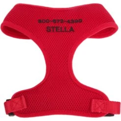 Frisco Small & Medium Breed Soft Mesh Personalized Back Clip Dog Harness