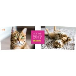 Frisco "Classic" Double Walled Personalized Tumbler. 30-oz 8 Frisco "Classic" Double Walled Personalized Tumbler. 30-oz -Chewy 272541 PT2. AC SS1800 V1625686095