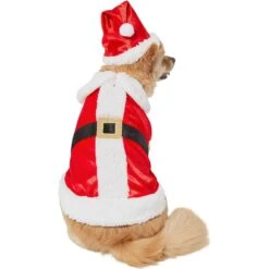 Frisco Mr. Claus Dog & Cat Costume -Chewy 276142 PT3. AC SS1800 V1631568890