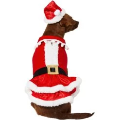 Frisco Mrs. Claus Dog & Cat Costume 10 Frisco Mrs. Claus Dog & Cat Costume -Chewy 276150 PT3. AC SS1800 V1631572139