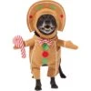 Frisco Front Walking Gingerbread Dog & Cat Costume 2 Frisco Front Walking Gingerbread Dog & Cat Costume -Chewy 276156 MAIN. AC SS1800 V1631659697