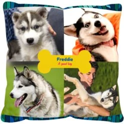 Frisco "Contemporary #2" Throw Pillow 16 X 16 7 Frisco "Contemporary #2" Throw Pillow 16 X 16 -Chewy 276901 PT2. AC SS1800 V1625686286