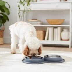 Frisco Silicone Stainless Steel Double Diner Slow Feeder Dog & Cat Bowl, Grey, 3 Cup -Chewy 277549 PT2. AC SS1800 V1630346823