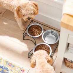 Frisco Multi Pet Feeding Corner 3-Bowls Stainless Steel Dog & Cat Bowl 10 Frisco Multi Pet Feeding Corner 3-Bowls Stainless Steel Dog & Cat Bowl -Chewy 277561 PT2. AC SS1800 V1630346973