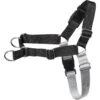 Frisco Basic No Pull Harness 1 Frisco Basic No Pull Harness -Chewy 277873 MAIN. AC SS1800 V1629758946