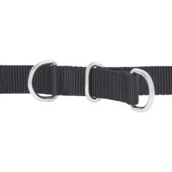 Frisco Basic No Pull Harness 9 Frisco Basic No Pull Harness -Chewy 277873 PT2. AC SS1800 V1629760100