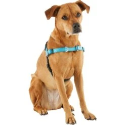 Frisco Padded Reflective No Pull Harness 10 Frisco Padded Reflective No Pull Harness -Chewy 277892 PT3. AC SS1800 V1629758833