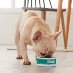 Frisco Personalized General Dog & Cat Small Dog Bowl 9 Frisco Personalized General Dog & Cat Small Dog Bowl -Chewy 278924 PT3. AC SS1800 V1629147374