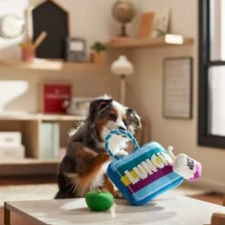 Frisco Back To School Lunchbox With Juice & Apple Plush With Rope Squeaky Dog Toy 7 Frisco Back To School Lunchbox With Juice & Apple Plush With Rope Squeaky Dog Toy -Chewy 279427 PT3. AC SS1800 V1628191372