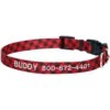 Frisco Buffalo Check Polyester Personalized Dog Collar 2 Frisco Buffalo Check Polyester Personalized Dog Collar -Chewy 280763 MAIN. AC SS1800 V1621274857
