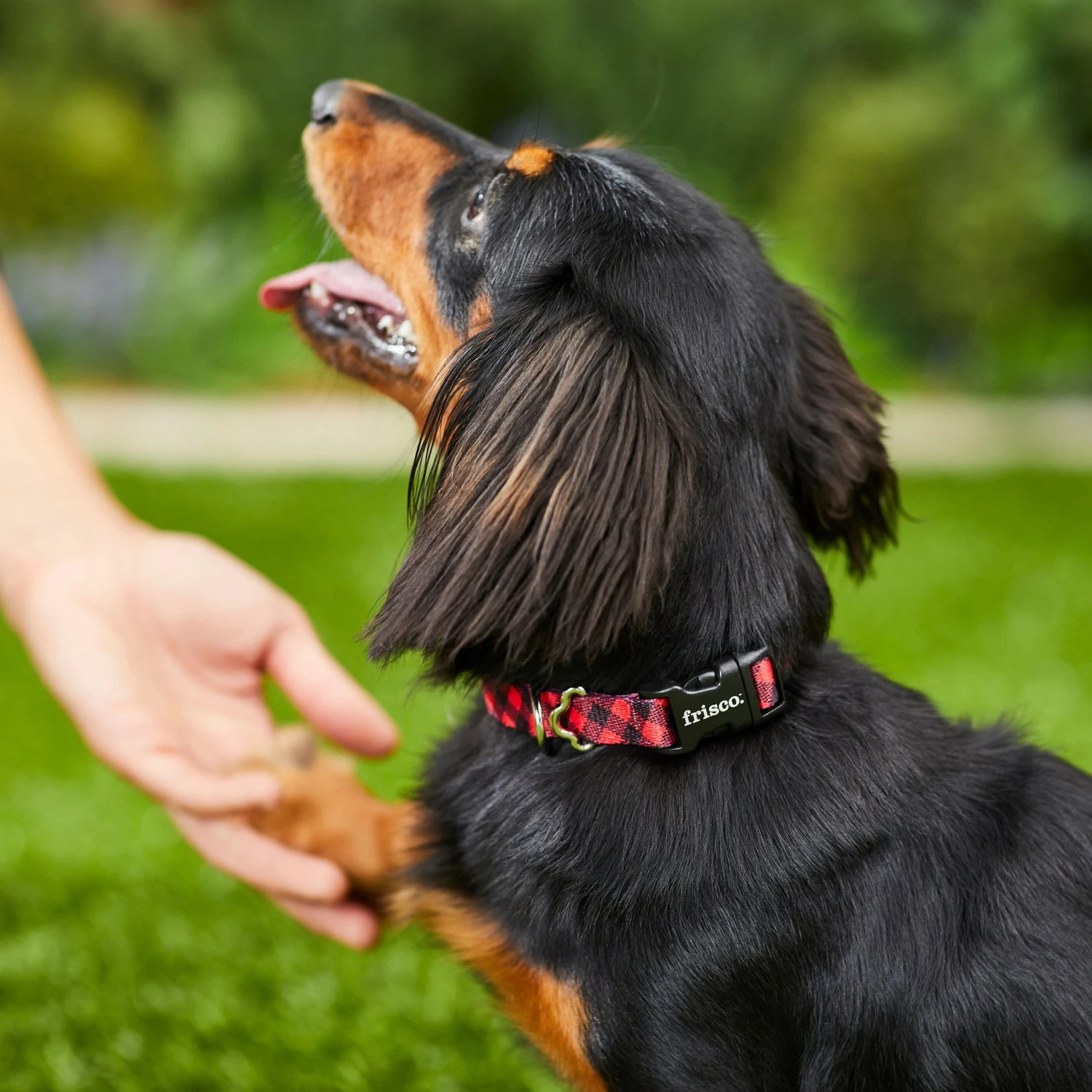 Frisco Buffalo Check Polyester Personalized Dog Collar 7 Frisco Buffalo Check Polyester Personalized Dog Collar - Image 5