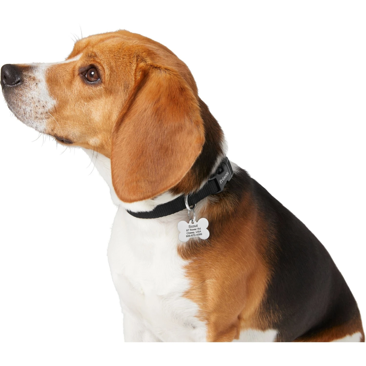 Frisco Chewy Stainless Steel Personalized Dog ID Tag With Enamel Infill 6 Frisco Chewy Stainless Steel Personalized Dog ID Tag With Enamel Infill - Image 4