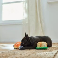 Frisco Fall Pancakes & Maple Syrup Plush Squeaky Dog Toy, 2 Count -Chewy 285627 PT3. AC SS1800 V1629725170