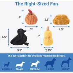 Frisco Fall Farmhouse Hide & Seek Puzzle Plush Squeaky Dog Toy 8 Frisco Fall Farmhouse Hide & Seek Puzzle Plush Squeaky Dog Toy -Chewy 285629 PT2. AC SS1800 V1636990881