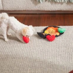 Frisco Fall Autumn Tree With Apples Interactive Plush Squeaky Dog Toy, 4 Count 7 Frisco Fall Autumn Tree With Apples Interactive Plush Squeaky Dog Toy, 4 Count -Chewy 285633 PT3. AC SS1800 V1629725360