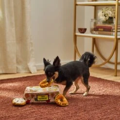 Frisco Fall Box Of Donuts Hide & Seek Puzzle Plush Squeaky Dog Toy 9 Frisco Fall Box Of Donuts Hide & Seek Puzzle Plush Squeaky Dog Toy -Chewy 285639 PT3. AC SS1800 V1629725027