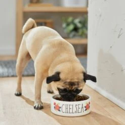 Frisco Flower Ceramic Personalized Dog Bowl 11 Frisco Flower Ceramic Personalized Dog Bowl -Chewy 286985 PT2. AC SS1800 V1625764713