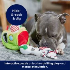 Frisco Holiday Rocket Ship Hide & Seek Puzzle Plush Squeaky Dog Toy 14 Frisco Holiday Rocket Ship Hide & Seek Puzzle Plush Squeaky Dog Toy -Chewy 287101 PT5. AC SS1800 V1695659151